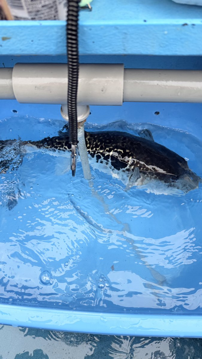 もんなかたっくる tweet media