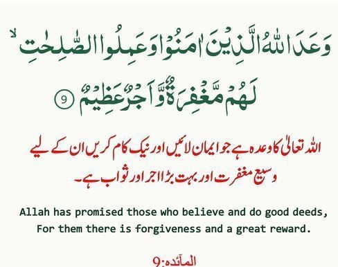 اردو ورثہ tweet media