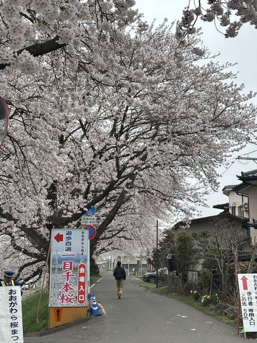 ししまる製麺所 tweet media