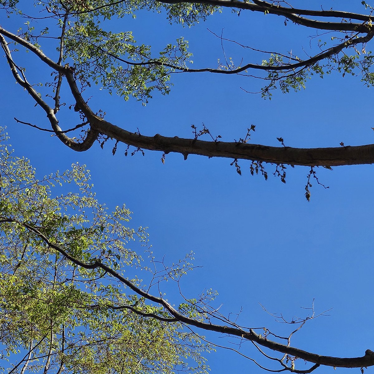 연호 (衍浩) tweet media