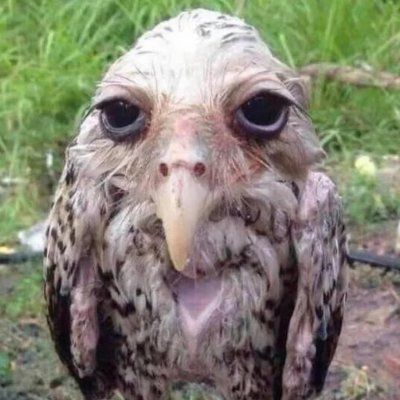 Zero Flight tweet media