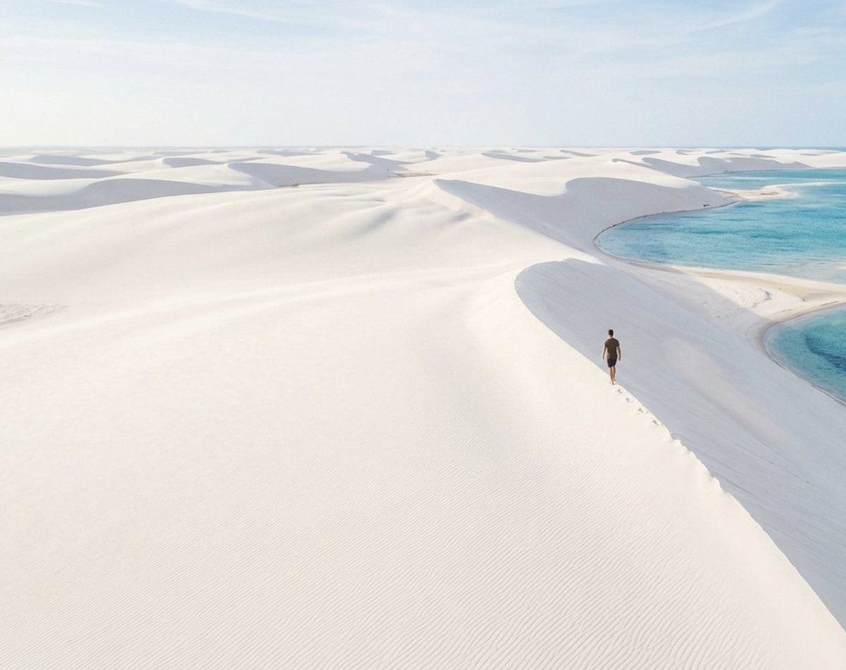 Aseel Swaid tweet media