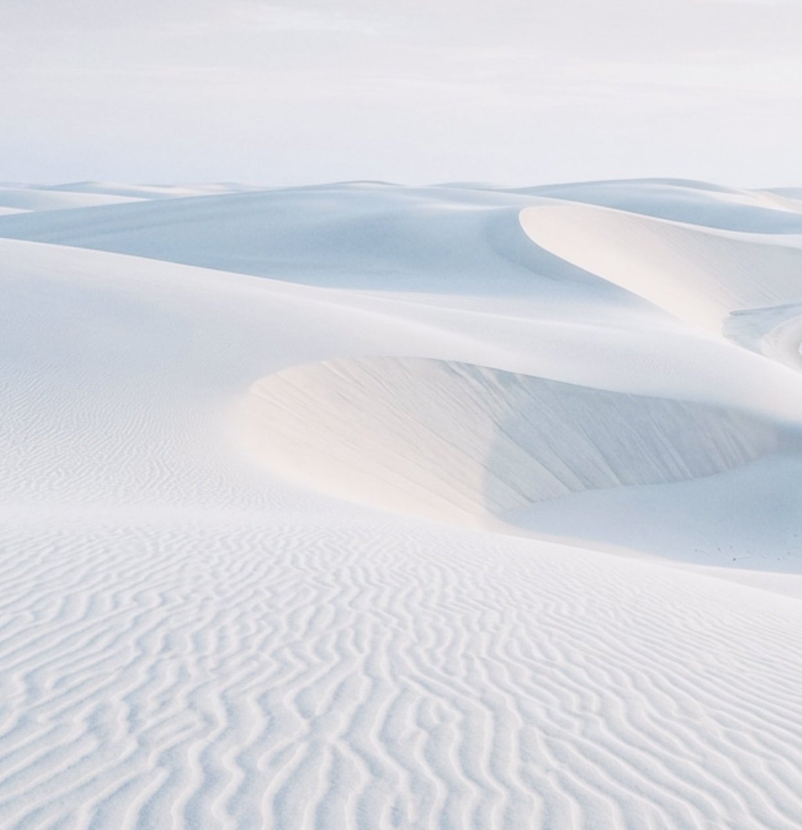 Aseel Swaid tweet media