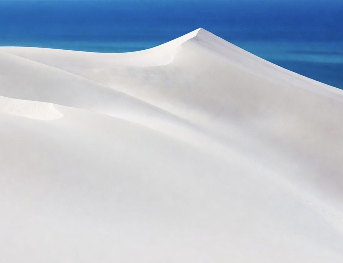 Aseel Swaid tweet media