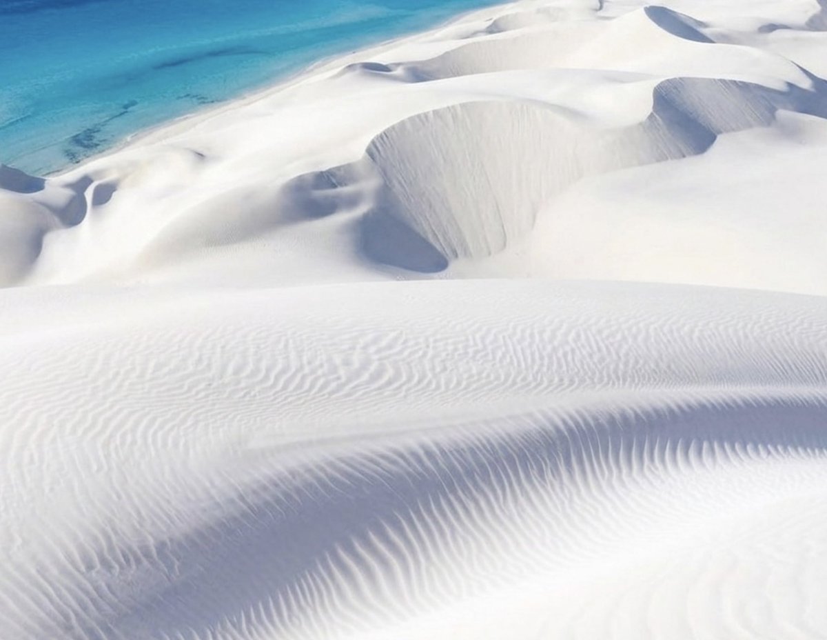 Aseel Swaid tweet media