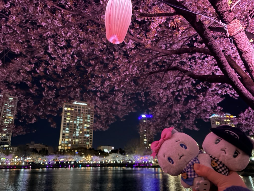 yui 🌸🐰 tweet media