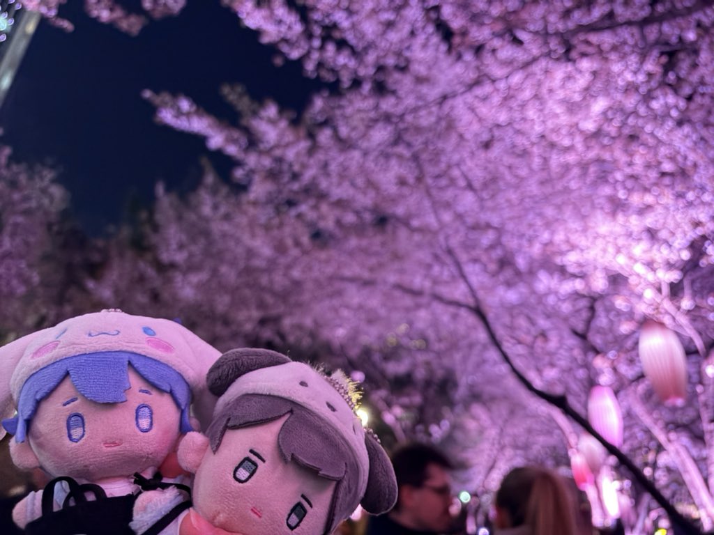 yui 🌸🐰 tweet media