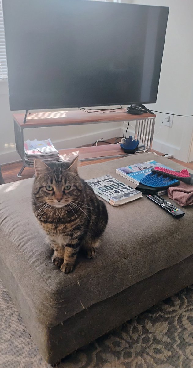 Providence Guy tweet media