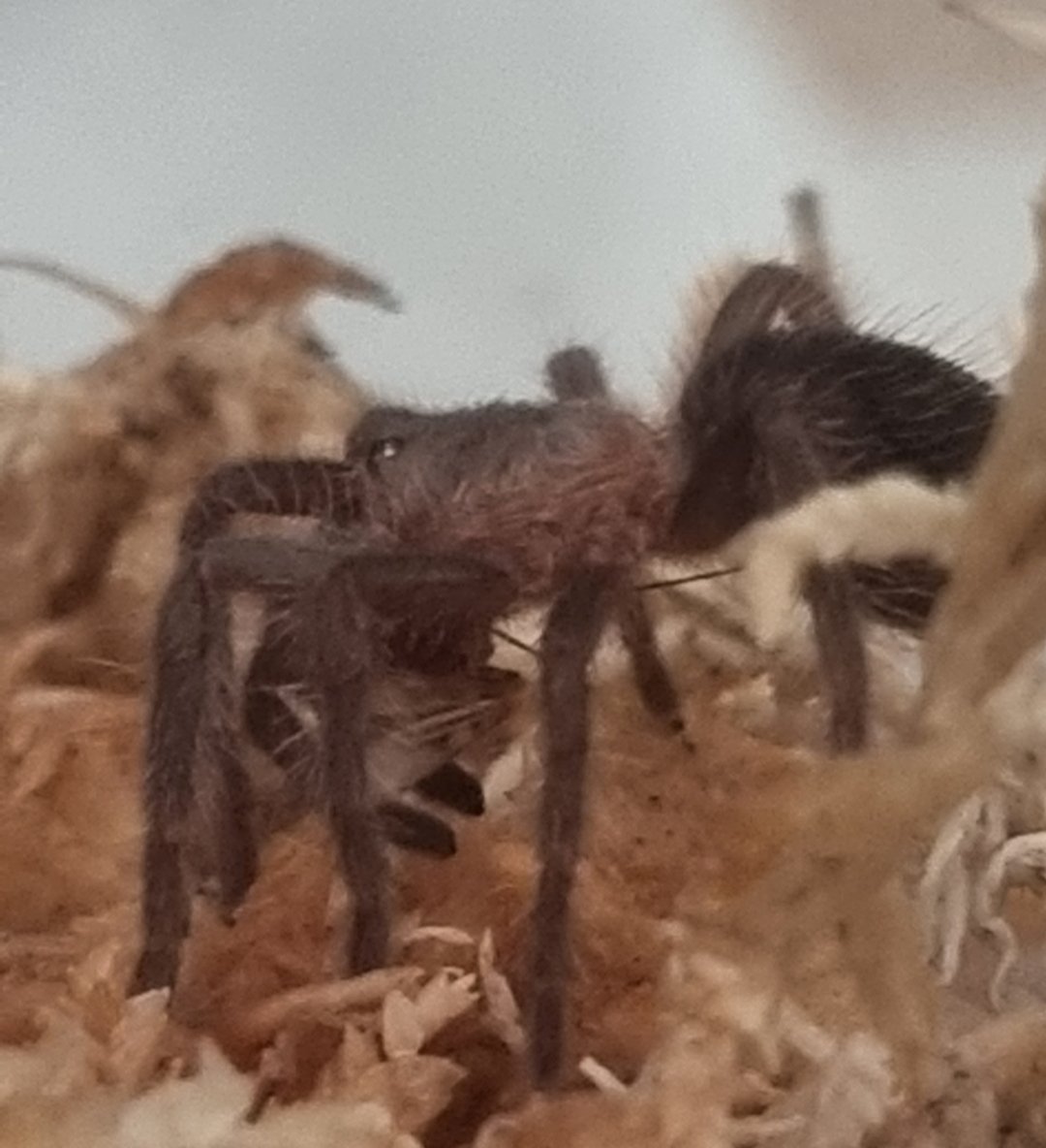 eren 💾 tweet media