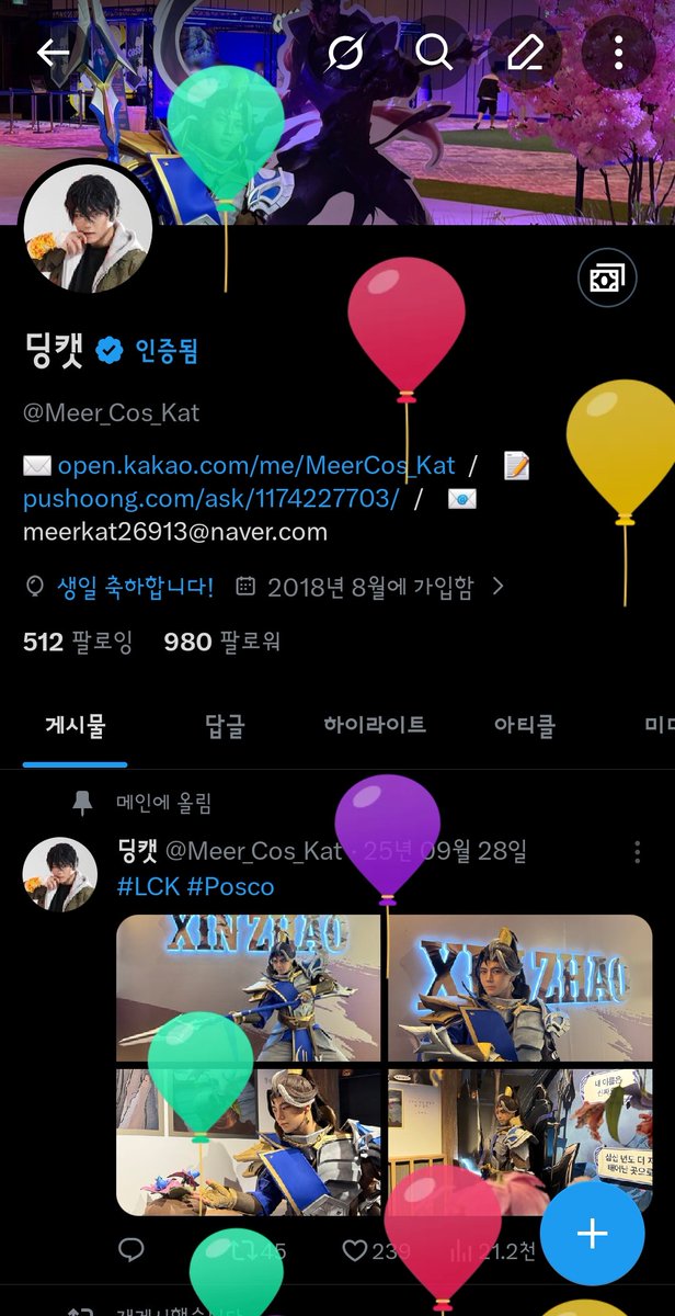 딩캣 tweet media