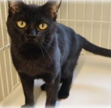 🦋* R U I *🦋 いのちと向き合う いつもありがとうございます NO WAR tweet media