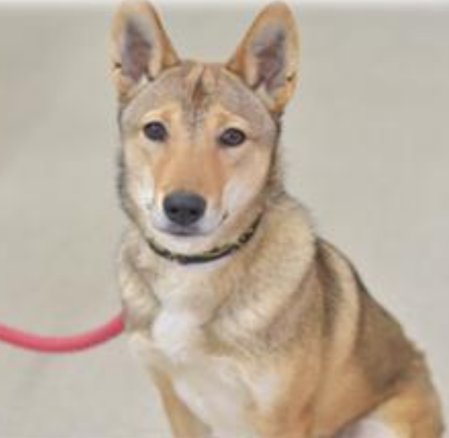 🦋* R U I *🦋 いのちと向き合う いつもありがとうございます NO WAR tweet media