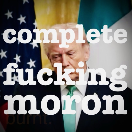 Brown Eyed Susan tweet media