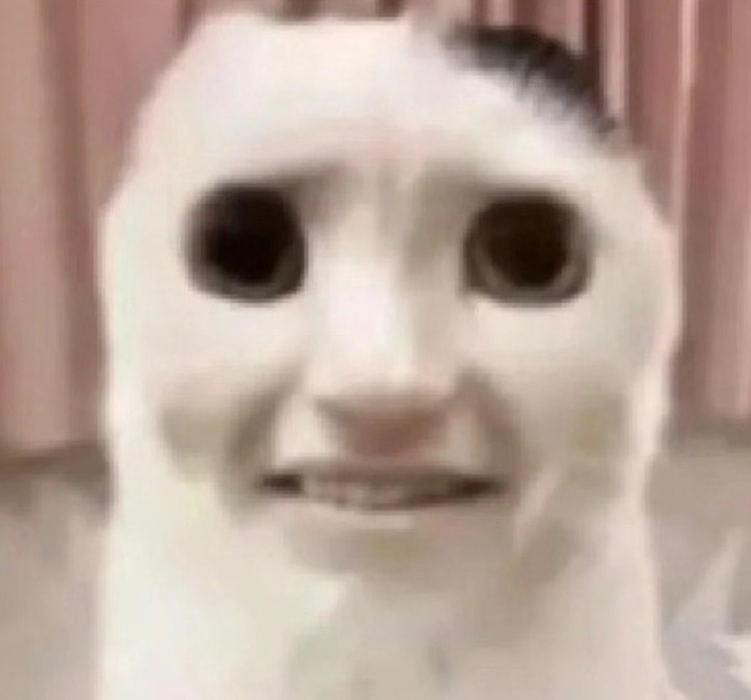 🅜🅢🅒 tweet media