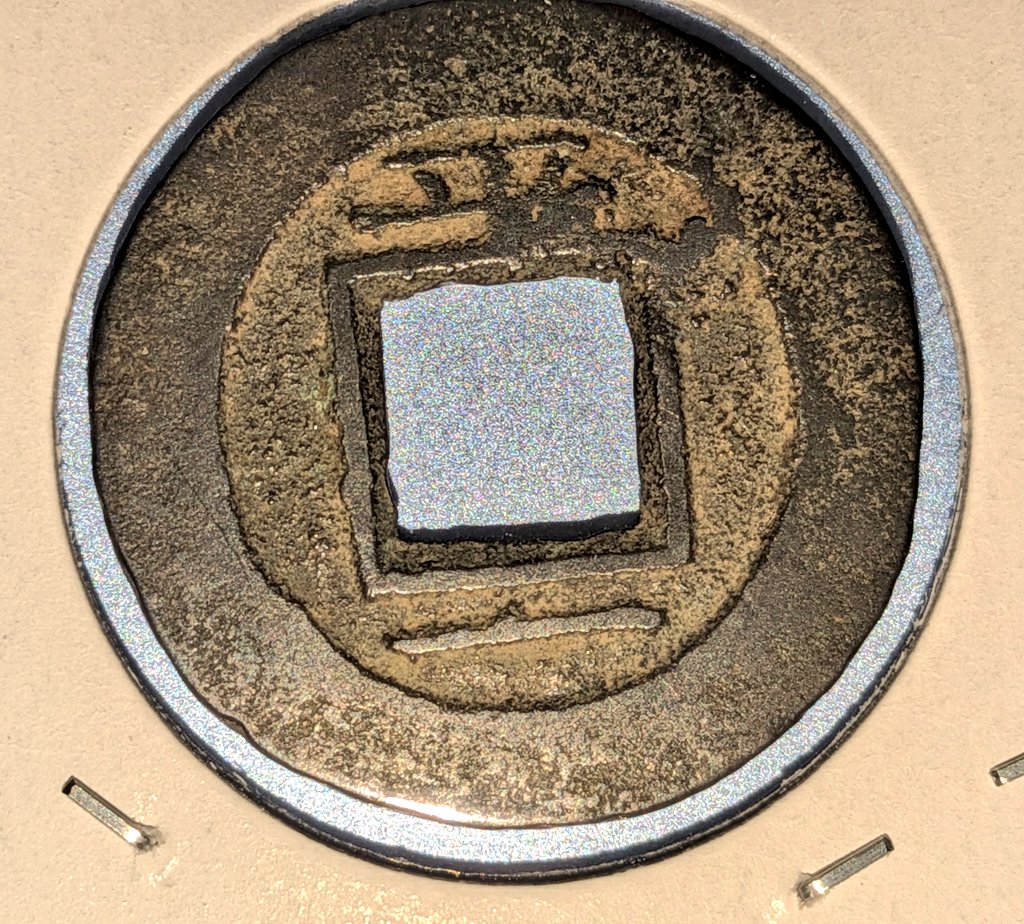 ぜにまる【公式】 tweet media