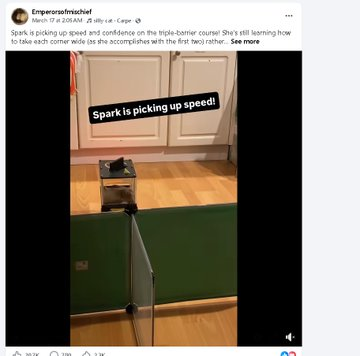 Buy-Buy-Sell-Cry tweet media