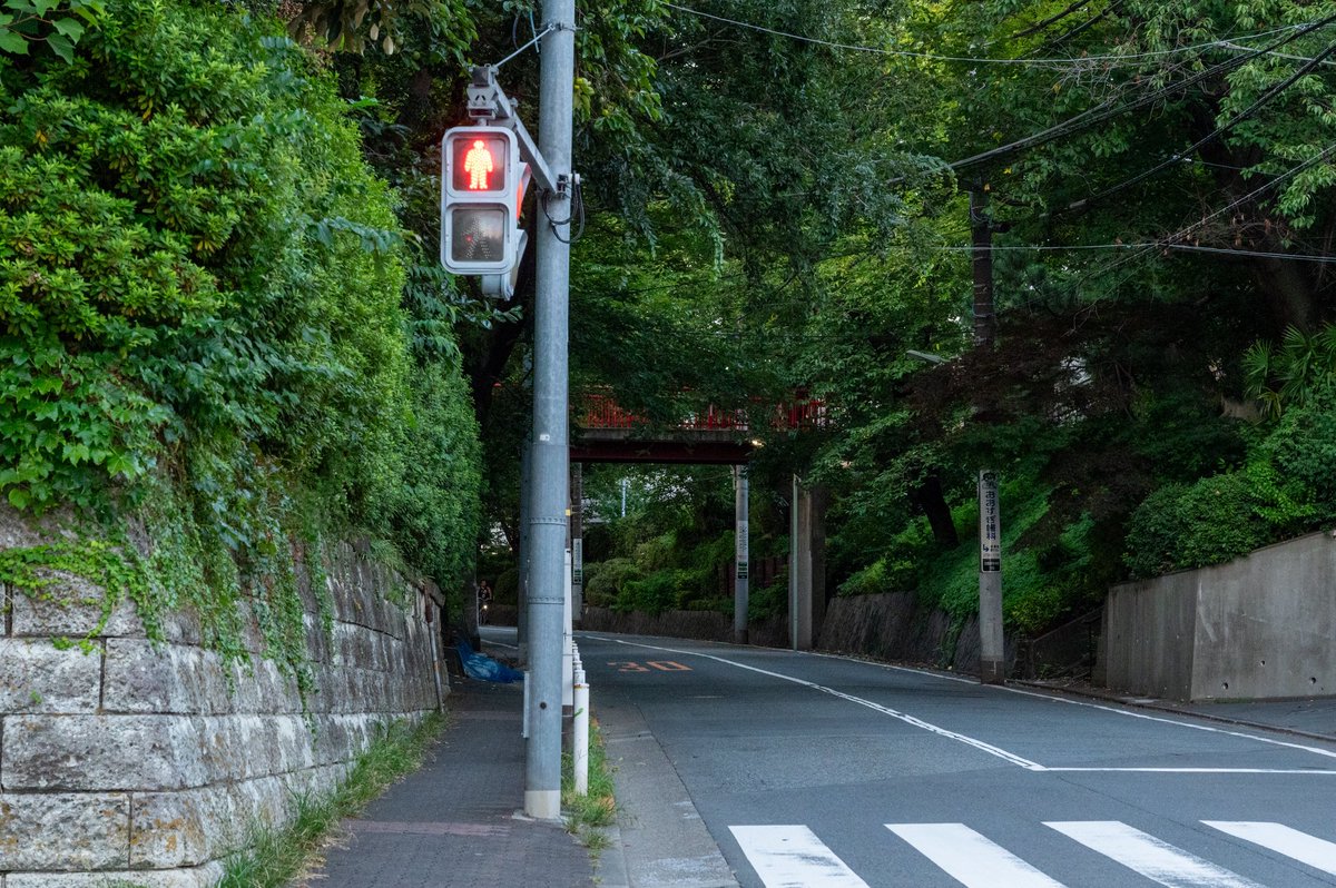 dangodangodangodaikazoku tweet media