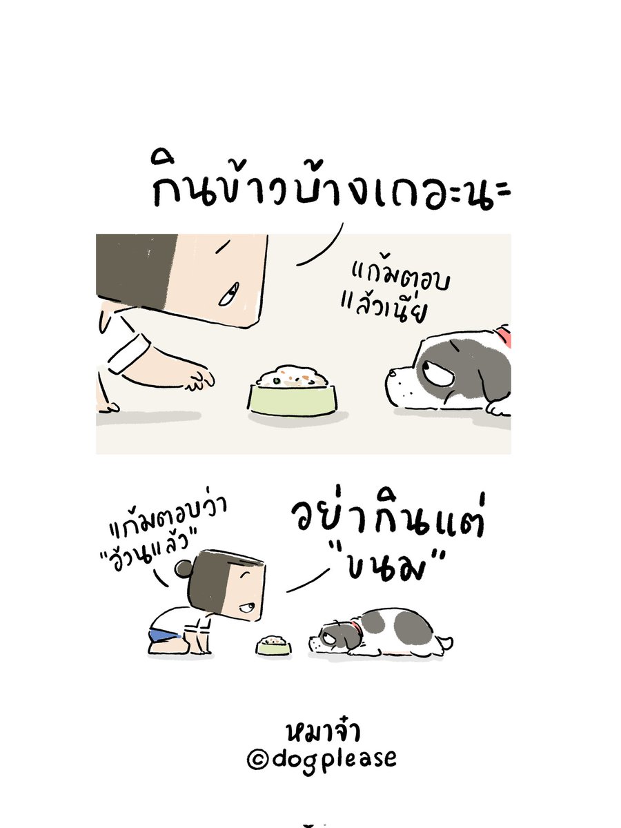 หมาจ๋า tweet media