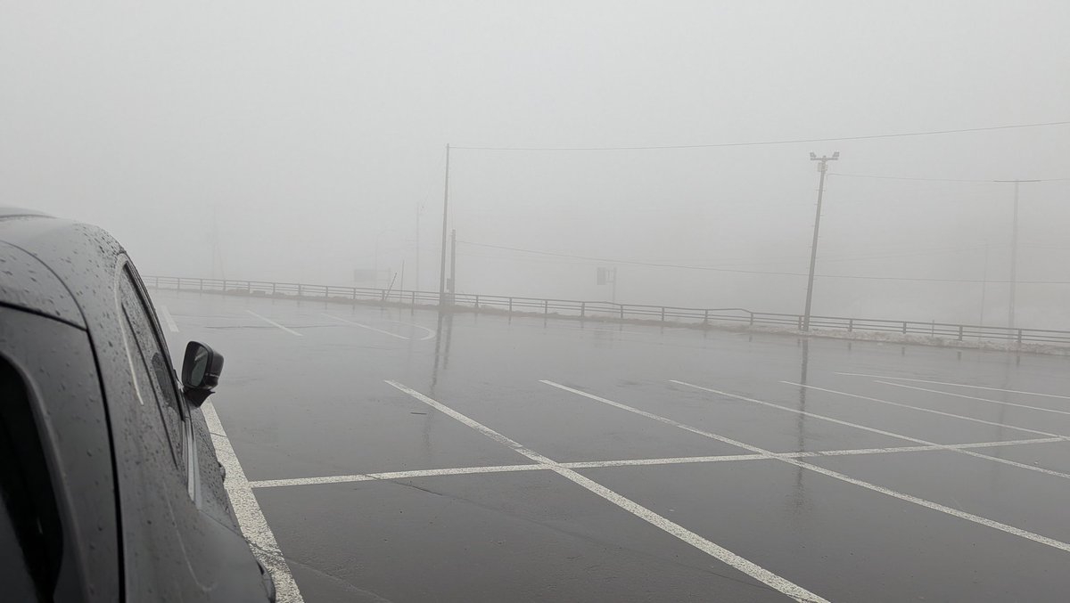 桜吹雪@冬族 tweet media