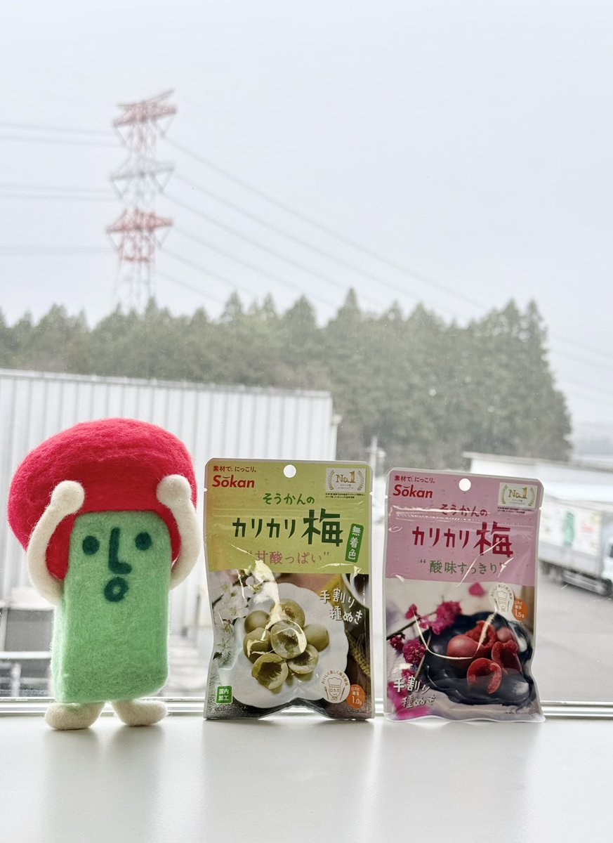 壮関(そうかん)【公式】@素材菓子シェアNO.1👑 tweet media