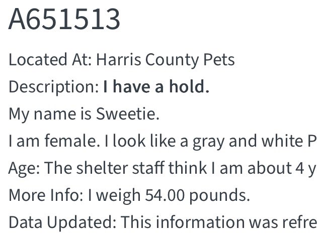 @PawsnTails4TX 🇺🇸🇺🇸🐾🐾 tweet media