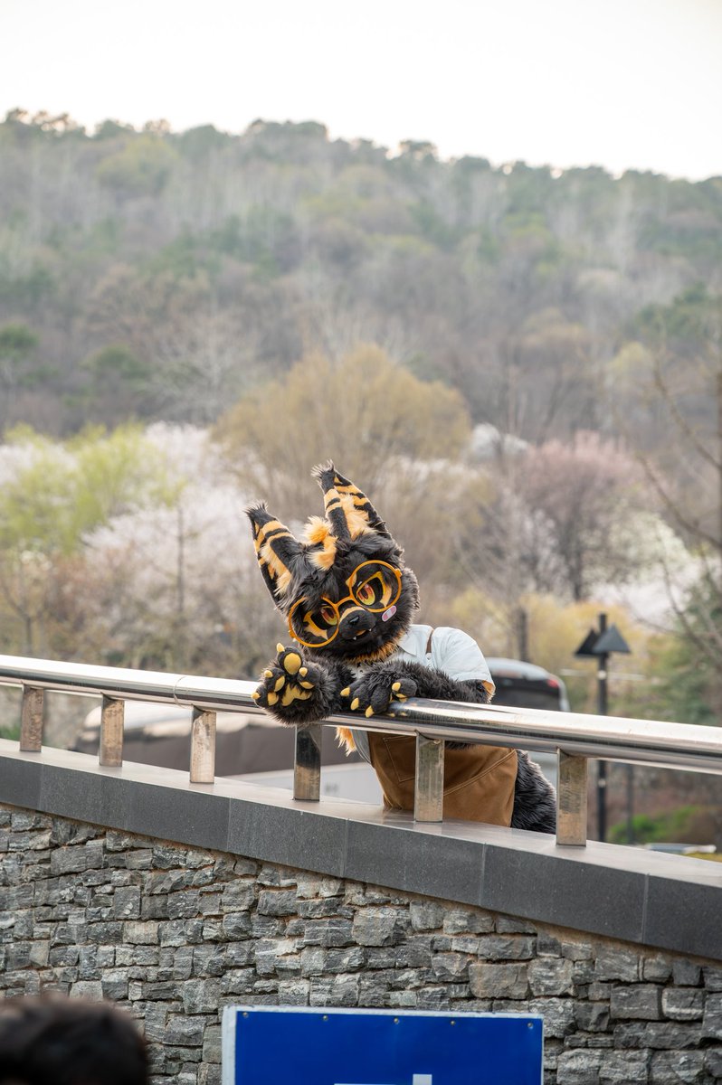 멍토/Rune tweet media