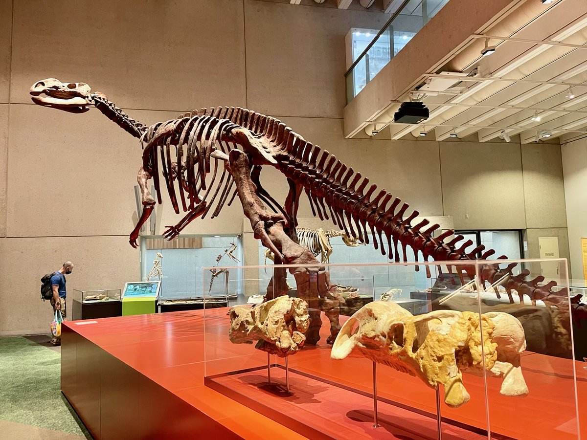 Greg McGarvie tweet media