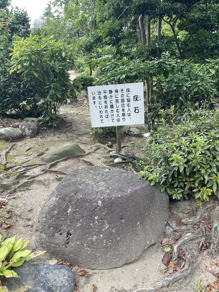 なぎは@なんでも垢 tweet media