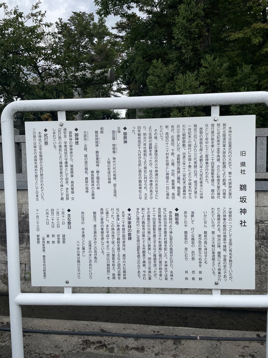 なぎは@なんでも垢 tweet media