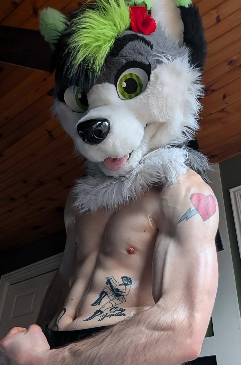 💚𝐅𝐢𝐫𝐞𝐟𝐥𝐲 𝐖𝐨𝐥𝐟𝐲~ 🔜AC tweet media