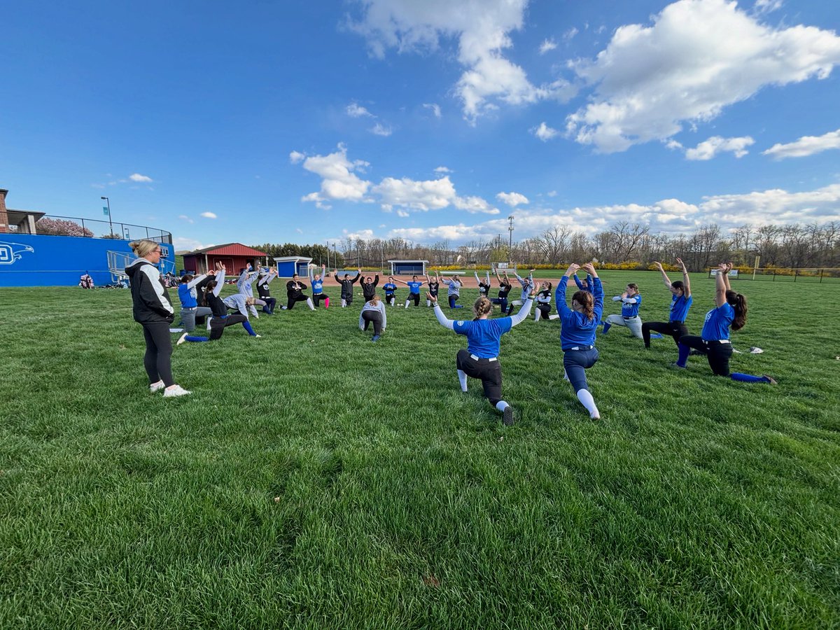 Lower Dauphin Softball tweet media