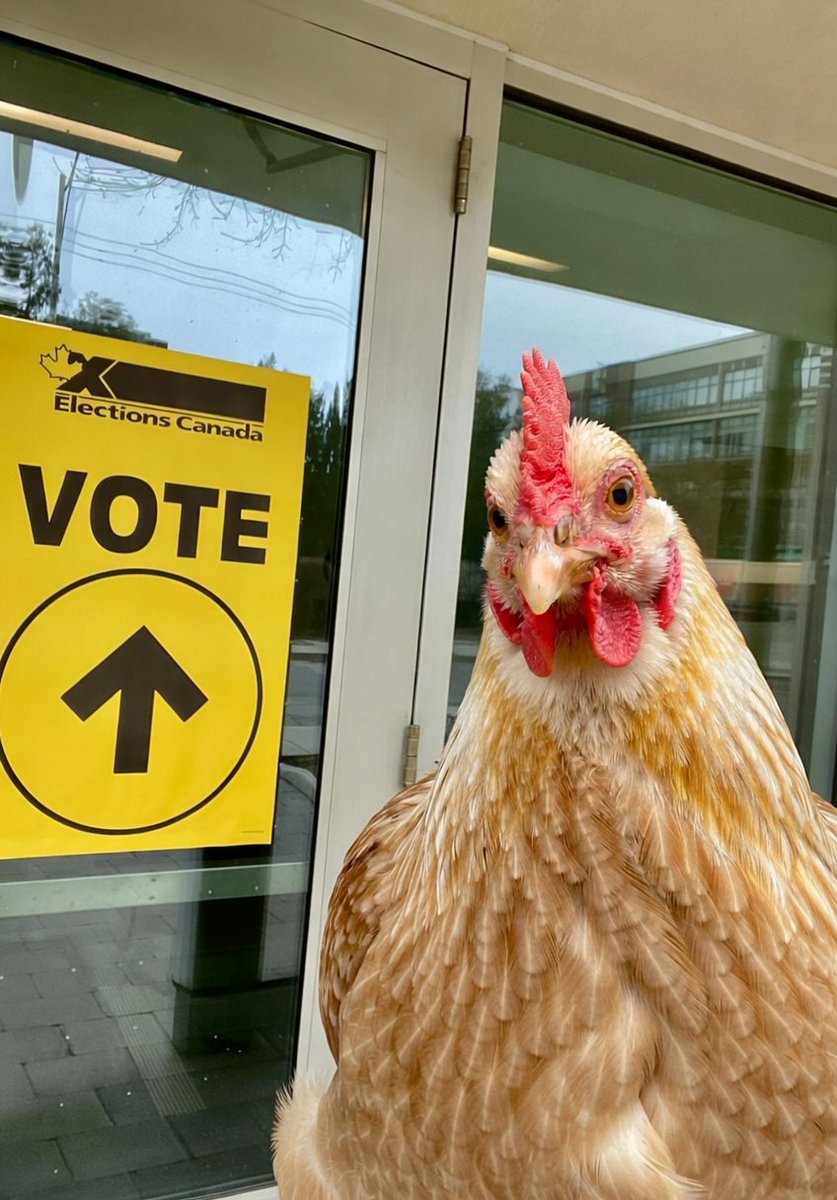 The National Roast tweet media