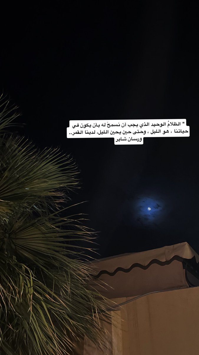 محمد tweet media