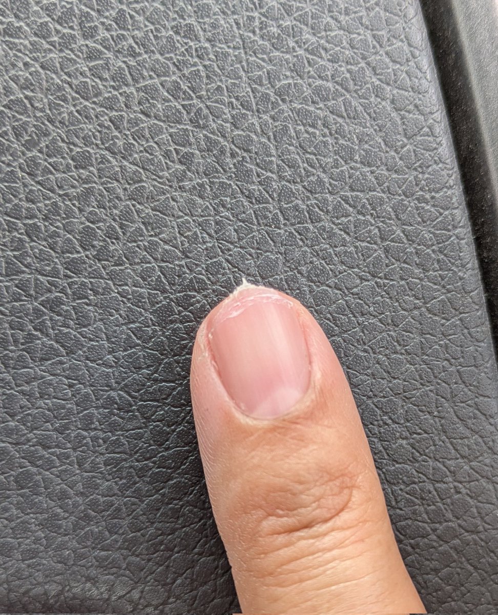 自由飲酒党☆特酒部隊ヨギボ二等兵 tweet media