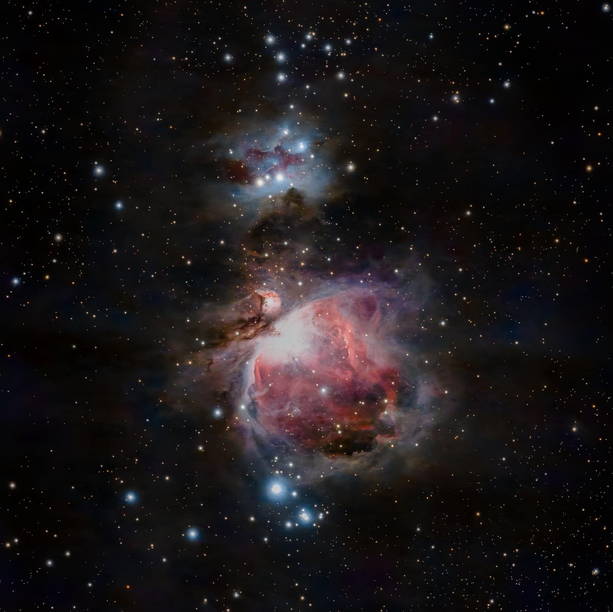 FactsDailyDose's tweet photo. "Colourful Orion Nebula" https://t.co/TCADM4TYIf