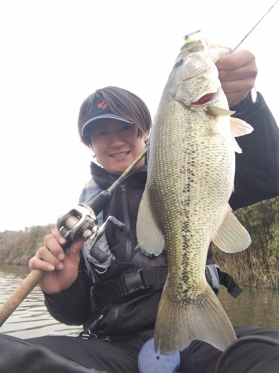 紅茶🐍 tweet media