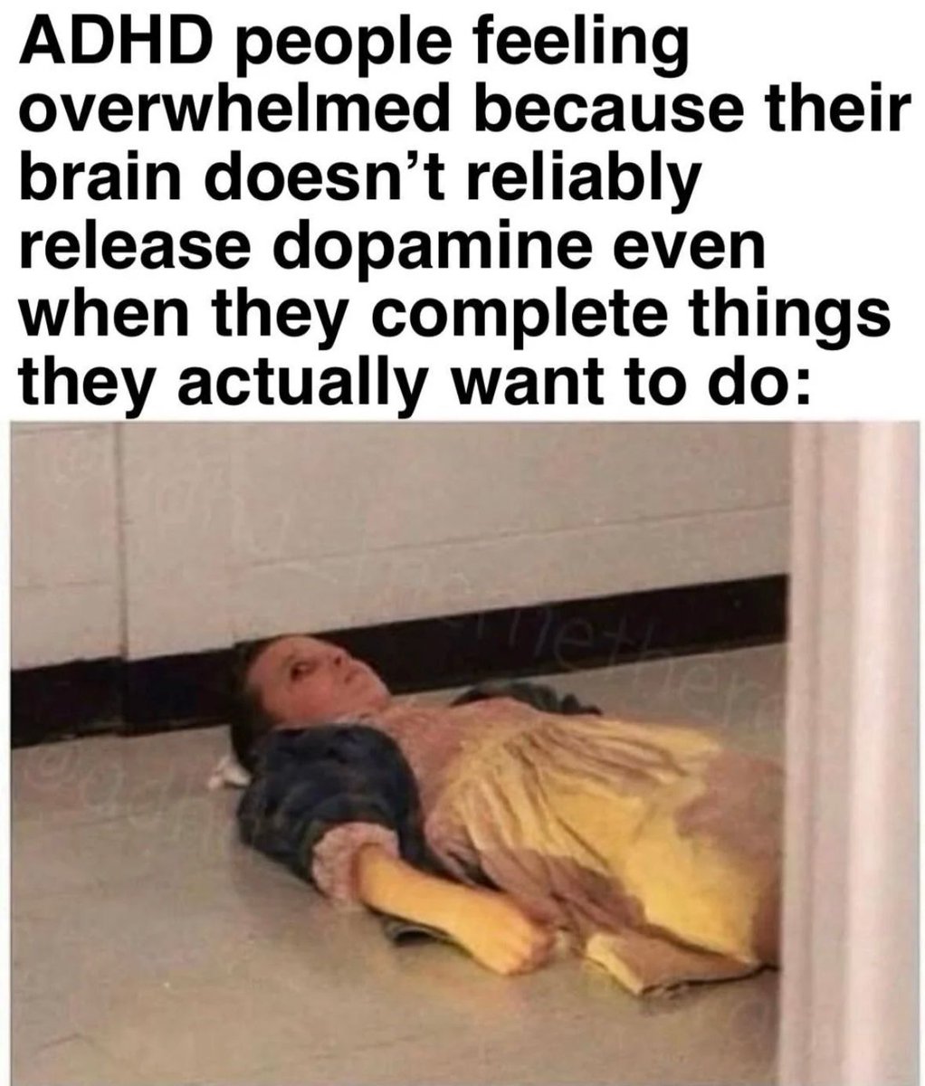 ADHD Memes tweet media