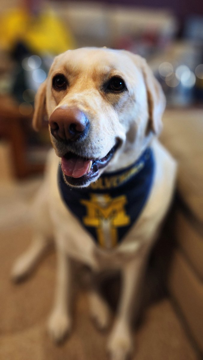 My Chaplin wants a National Championship!! GO BLUE!! <a href="/umichbball/">Michigan Men's Basketball</a>