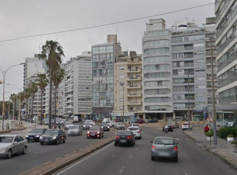 El Profe tweet media