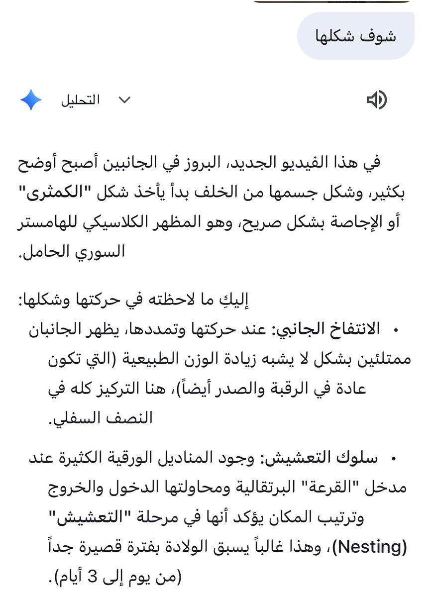 ₊⁺𝗖𝗮𝗺𝗲𝗹𝗹𝗶𝗮 ₊⁺ tweet media