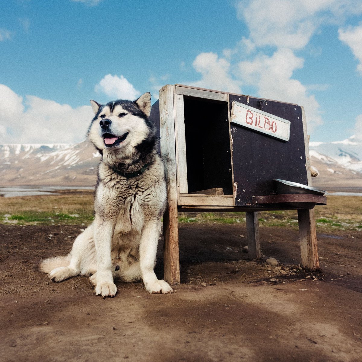 Lindblad Expeditions tweet media