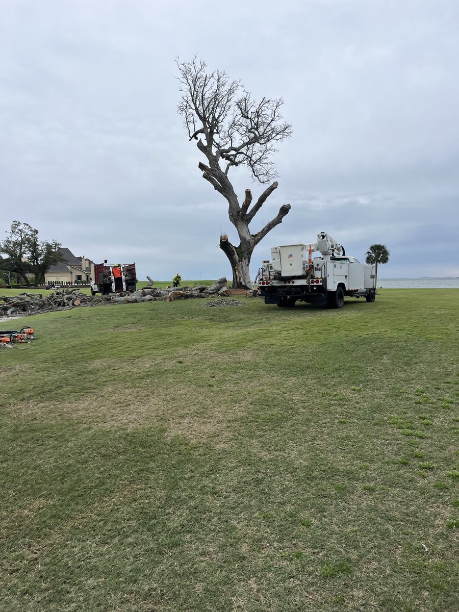 Pensacola CC Greens & Grounds tweet media