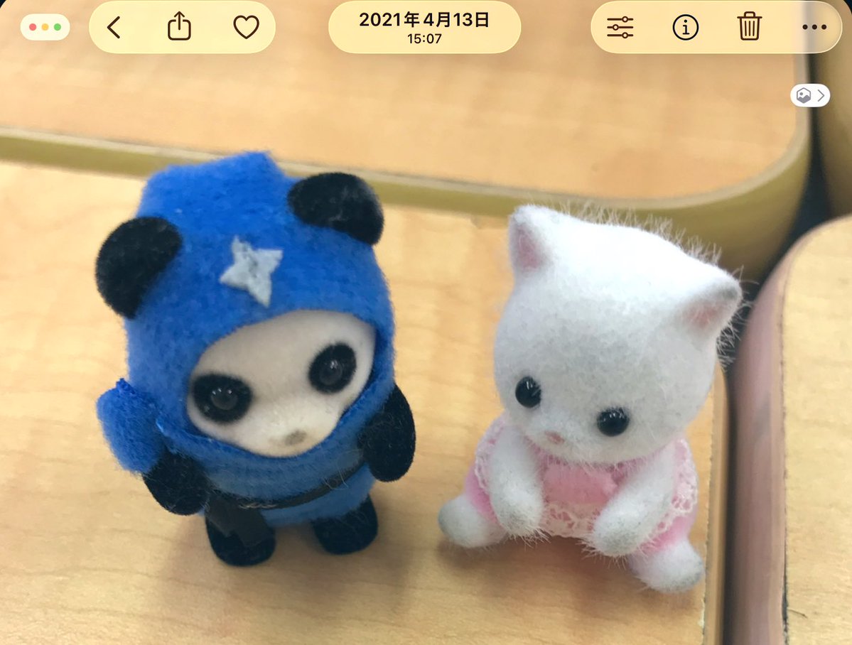 えんかナトリウム🧂🎀*⊹.· tweet media