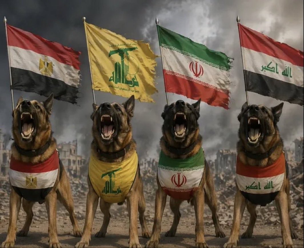 بطلة النخبة 🏆💚- ⲙⲁⲣⲓⲁⲙ tweet media