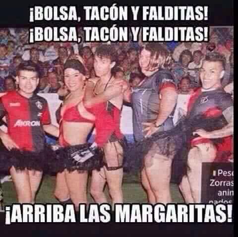 NewDr GreenThumb tweet media