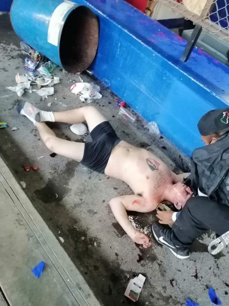 NewDr GreenThumb tweet media