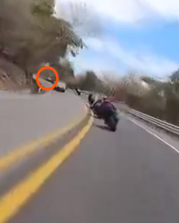 javiTL© tweet media