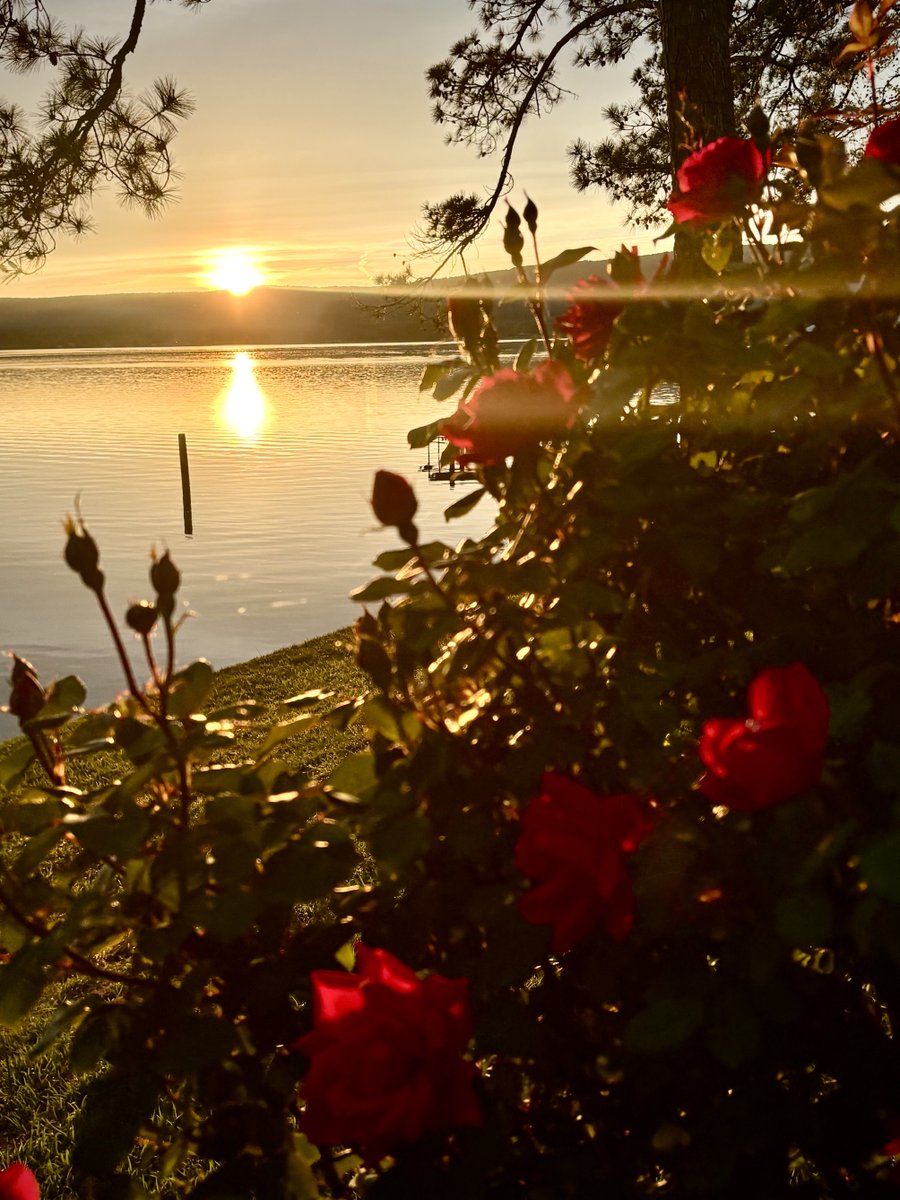 ⁦<a href="/spann/">James Spann</a>⁩ Weiss Lake sunset