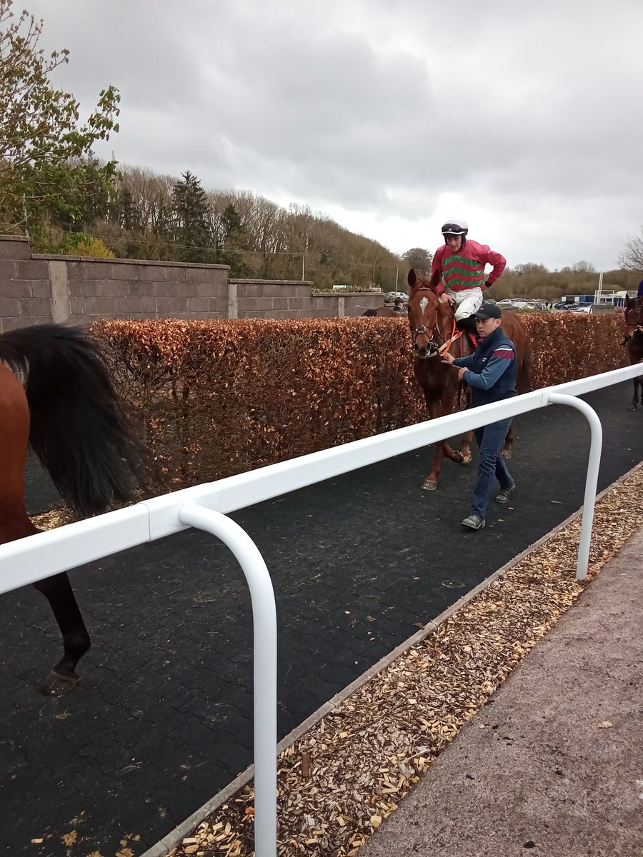 JoeSeward1's tweet photo. A high class renewal of the Jack Tyner Memorial Hunters Chase  @corkracecourse  .  Superb ride from @DoyleDavid123 on JOURNEY WITH ME for @DMC_Racing on this classy sort who won a €100K Grade 2 Chase two years ago at Fairyhouse also on Easter Monday
#Cork 
#Fairyhouse https://t.co/tJlnUb6ynR
