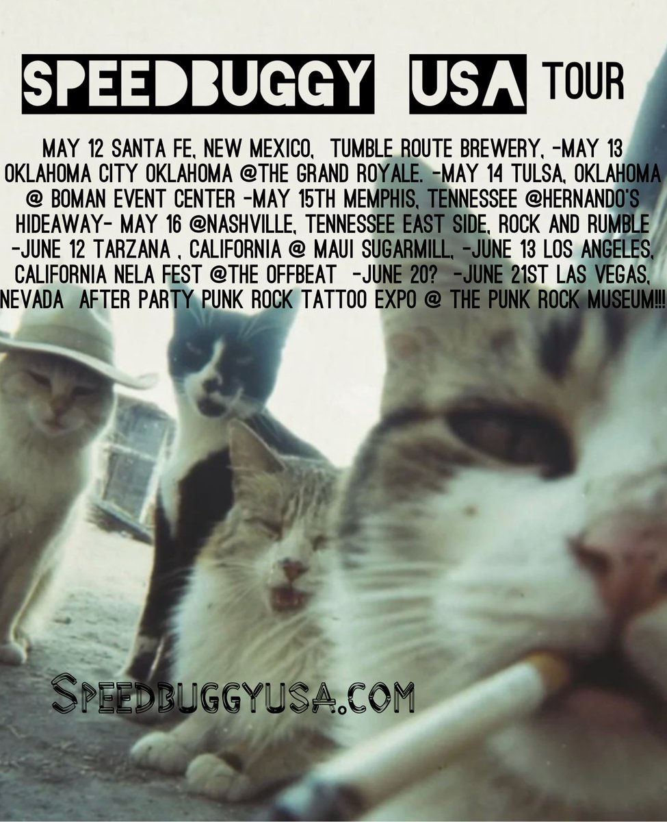 speedbuggy usa tweet media